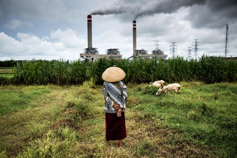 Herder and sheep in front of a coal fired power plant in Central Java, Indonesia © Kemal Jufri / Greenpeace